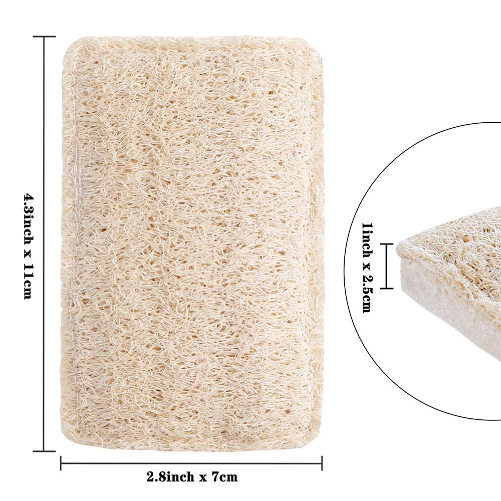 6-Pack Natural Loofah Kitchen Sponges - Eco-Friendly Reusable Dish Scrubbers for Non-Stick Cookware | Biodegradable Luffa Sponges for Washing Dishes, Kitchen & Bathroom Cleaning | Perfect for Daily Use, Dishwashing & Surface Scrubbing | Ideal for Eco-Conscious Homes & Sustainable Living