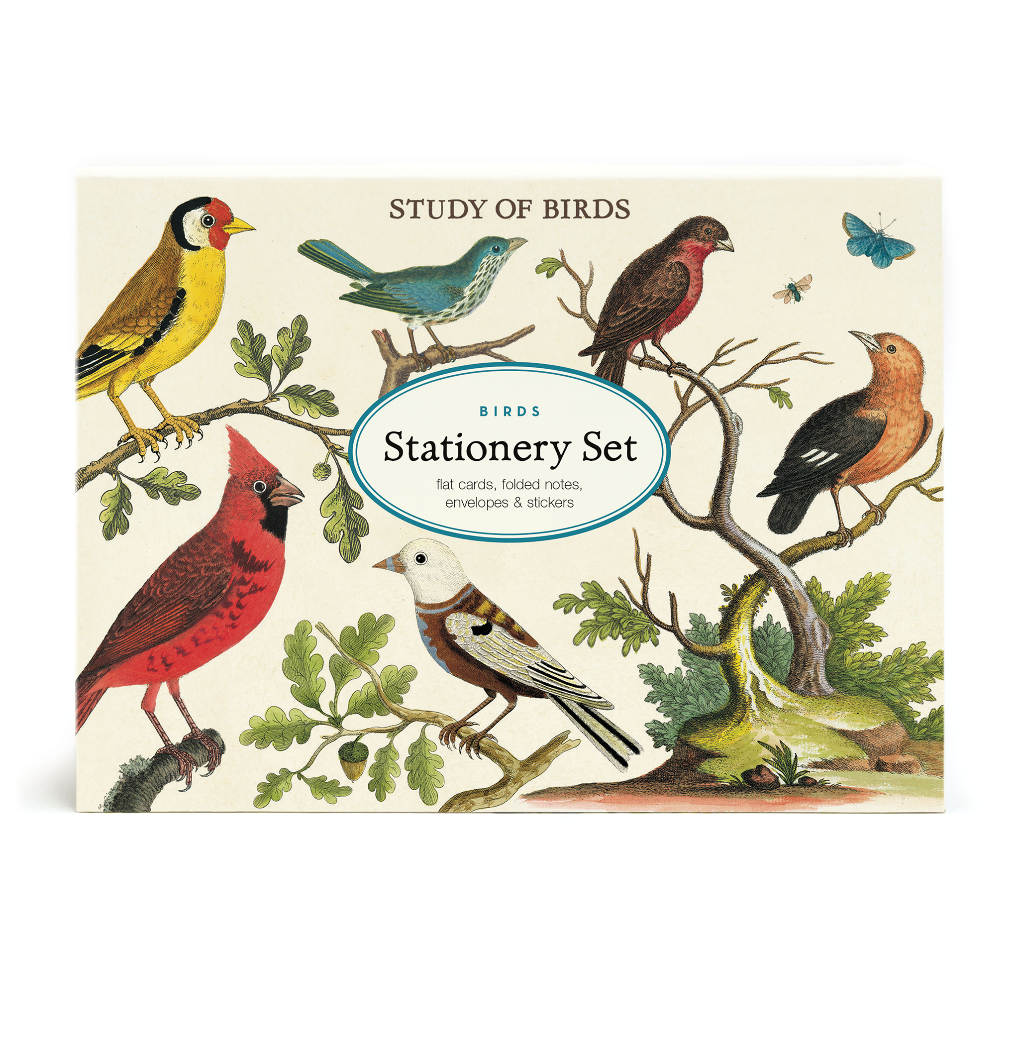 Colorful Bird-Themed Stationery Set for Writing & Drawing - Perfect for School, Office & Art Projects