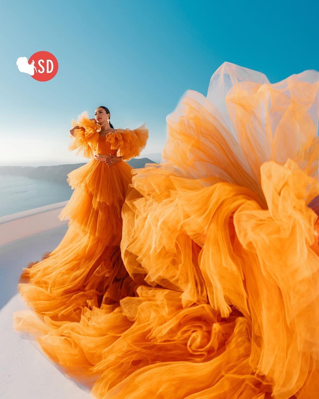 Flying Dress for Photoshoots - Custom Flowy Net Dress for Beach, Sunset & Maternity Photography | Elegant Flying Dress for Women