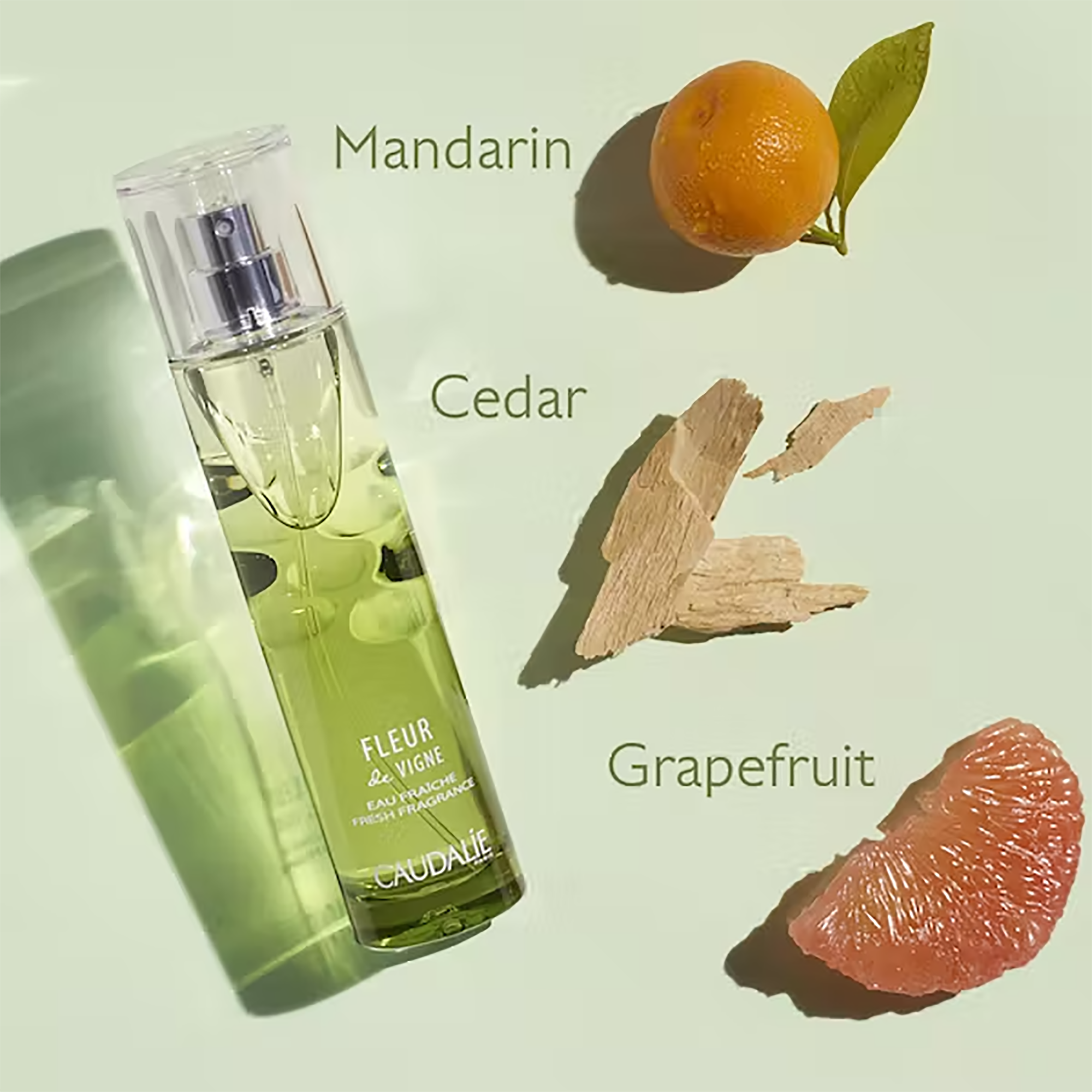 Caudalie Fleur De Vignes Eau De Toilette - Floral Perfume for Women, Long-Lasting Fresh Scent, Vegan & Cruelty-Free - Perfect for Daily Wear, Date Night & Special Occasions