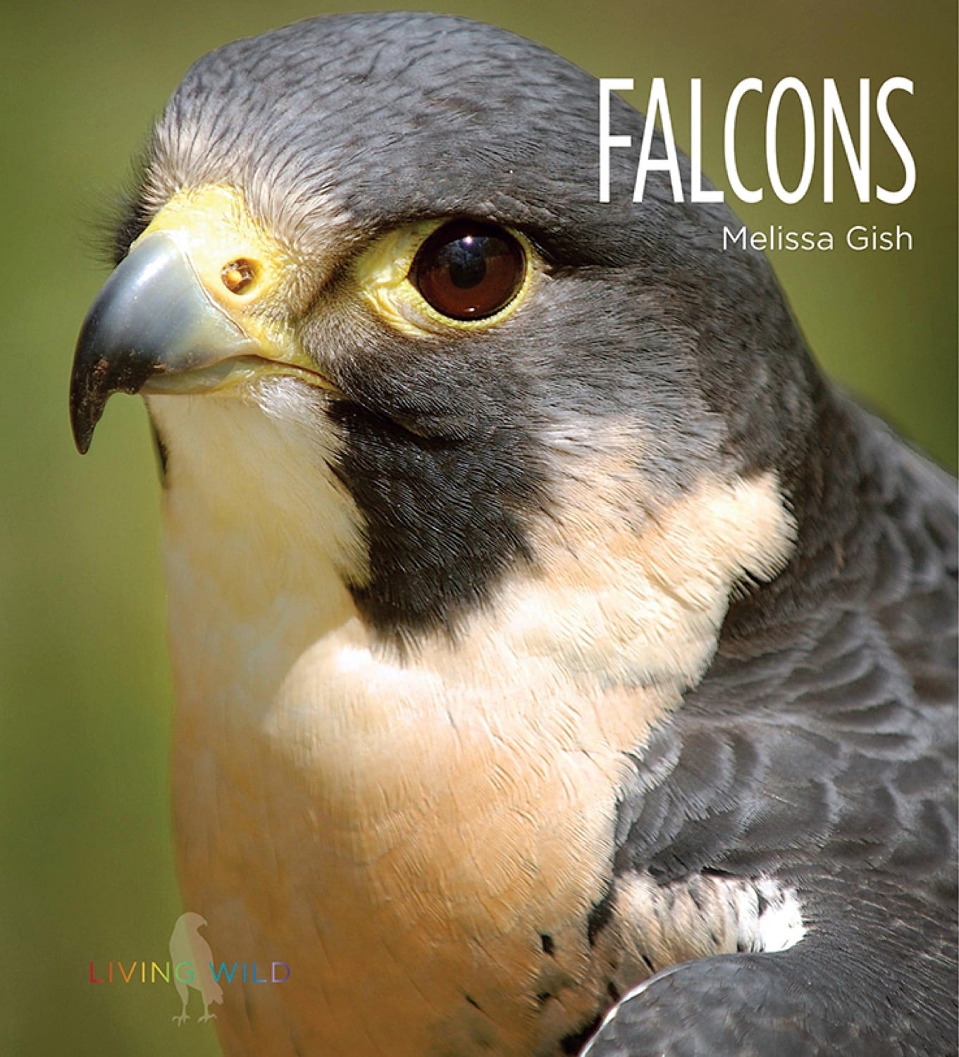 Falcons Book - ISBN 9781608185665 - Perfect for Bird Lovers & Nature Enthusiasts