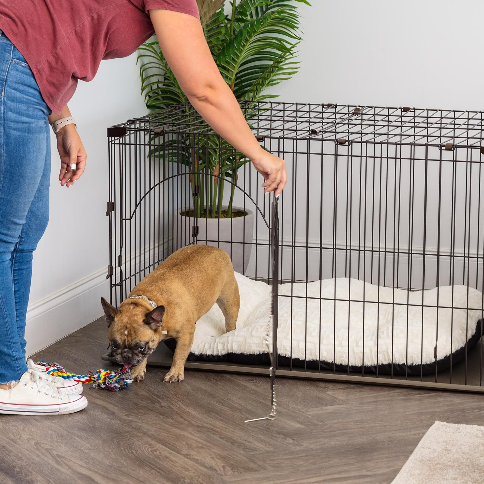 IRIS Large Wire Deluxe Dog Crate - 42 Inch Heavy Duty Metal Pet Cage for Medium to Large Dogs - Perfect for Home, Travel & Training Use