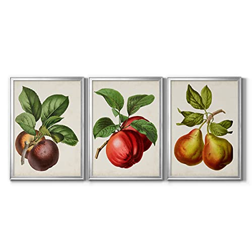Art S2483-3ss