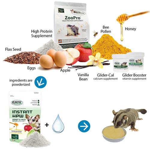 Premium Congo Cage & Starter Kit for Sugar Gliders - Complete Habitat Set with Durable Cage, Exercise Wheel, Nutritious Food Mix, Water Bottle, Feeding Bowls & Cozy Nest Pouch - Perfect for Small Pet Homes, Vet Clinics & Exotic Animal Enthusiasts