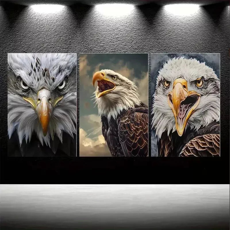 3pcs Realistic Bald Eagle Portraits Wall Art Set - Framed Canvas 50x70cm (20x28in) | High Quality Print | 100% Australian Made | Ready to Hang | Home Office Decor, Living Room Wall Decor, Gift for Nature Lovers