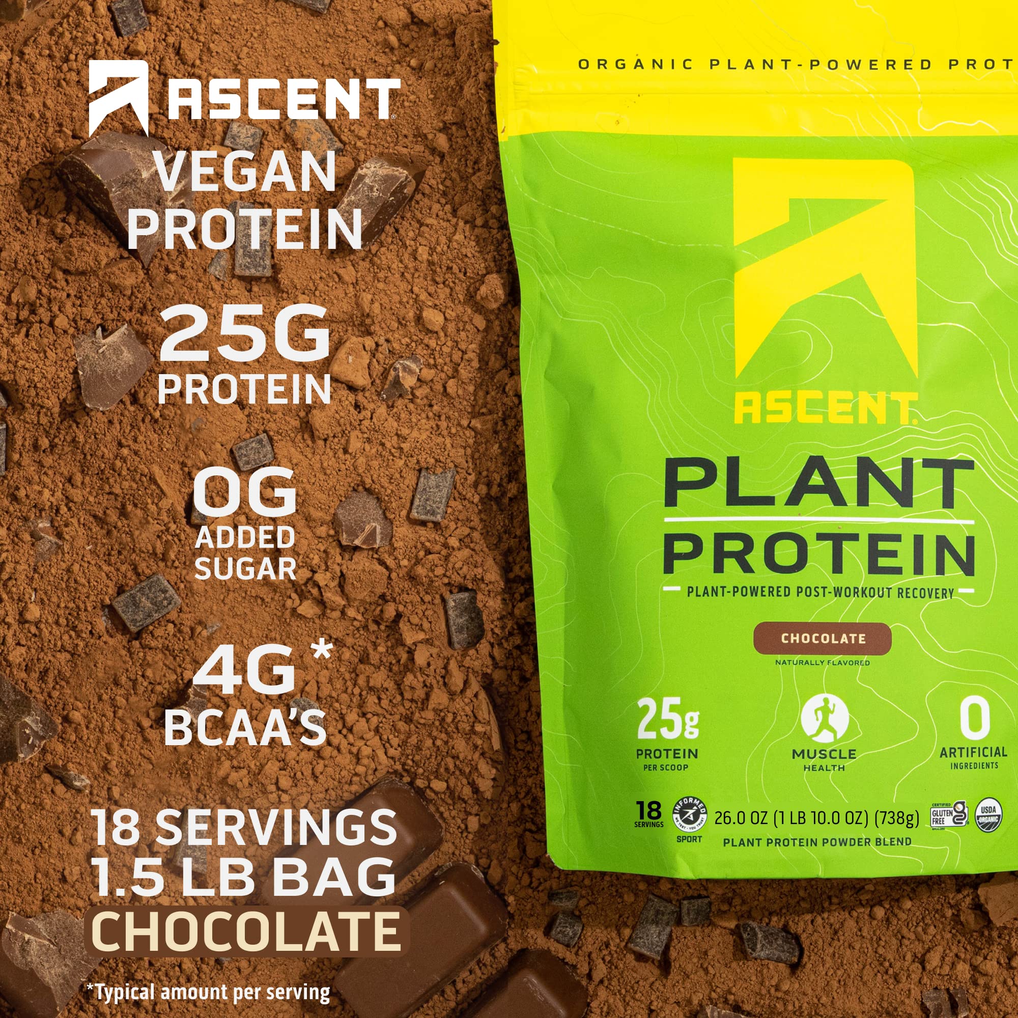 Ascent Plant Based Vegan Protein Powder - Dairy Free, Soy Free, Gluten Free, No Added Sugar, 4g BCAA, 2g Leucine - Chocolate Flavor (18 Servings) for Post Workout Recovery & Muscle Growth