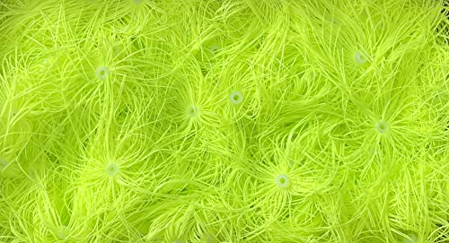 Hot Chartreuse