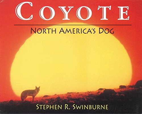 Coyote: The Wild Dog of North America - Perfect for Wildlife Enthusiasts, Nature Lovers & Outdoor Adventures