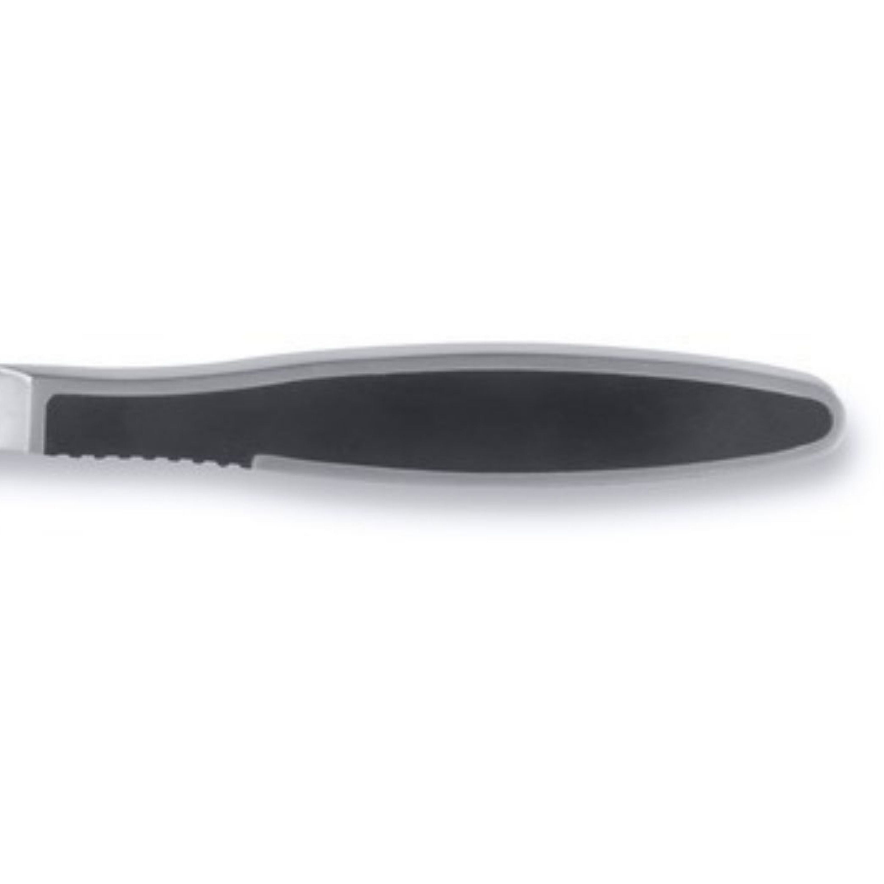 BergHOFF Neo Spanish Ham Knife - Flexible 10-Inch Stainless Steel Blade for Slicing Jamon, Prosciutto & Charcuterie | Perfect for Deli, Kitchen & Gourmet Food Preparation