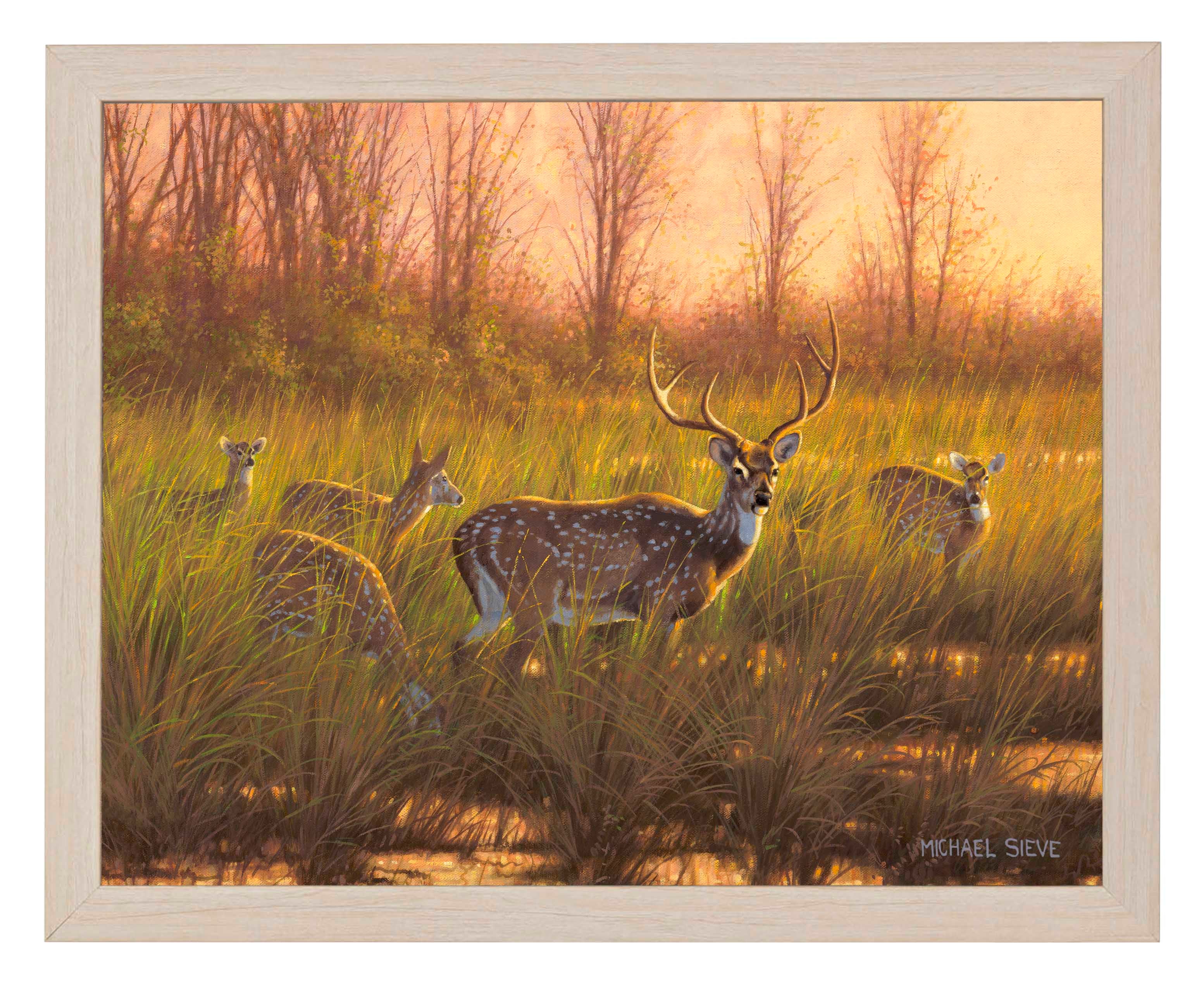 Chital Deer Art Prints - Stunning Wildlife Wall Decor for Home, Office & Gifts | High-Quality Fine Art Prints