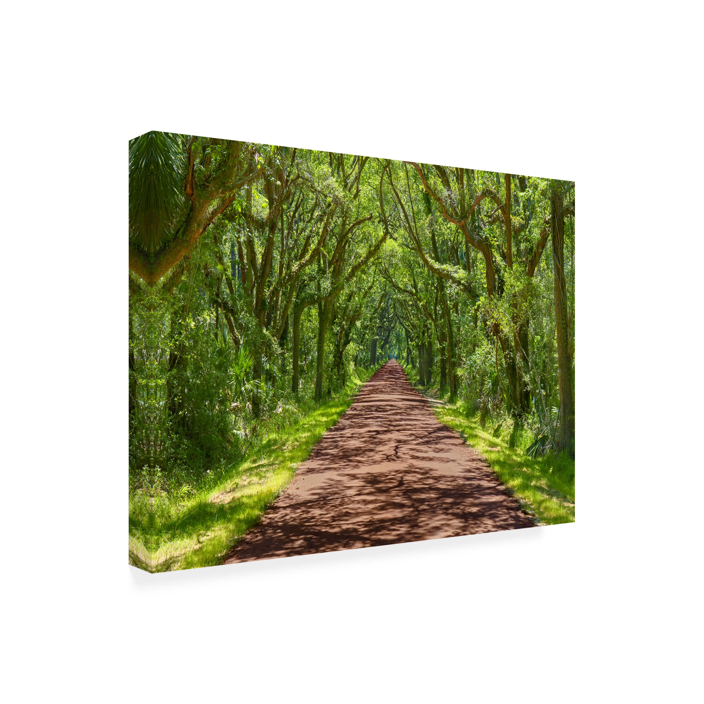 Trademark Fine Art 'Country Road Photo IV' Canvas Art Print by James McLoughlin - Rustic Landscape Wall Decor for Living Room, Bedroom & Office