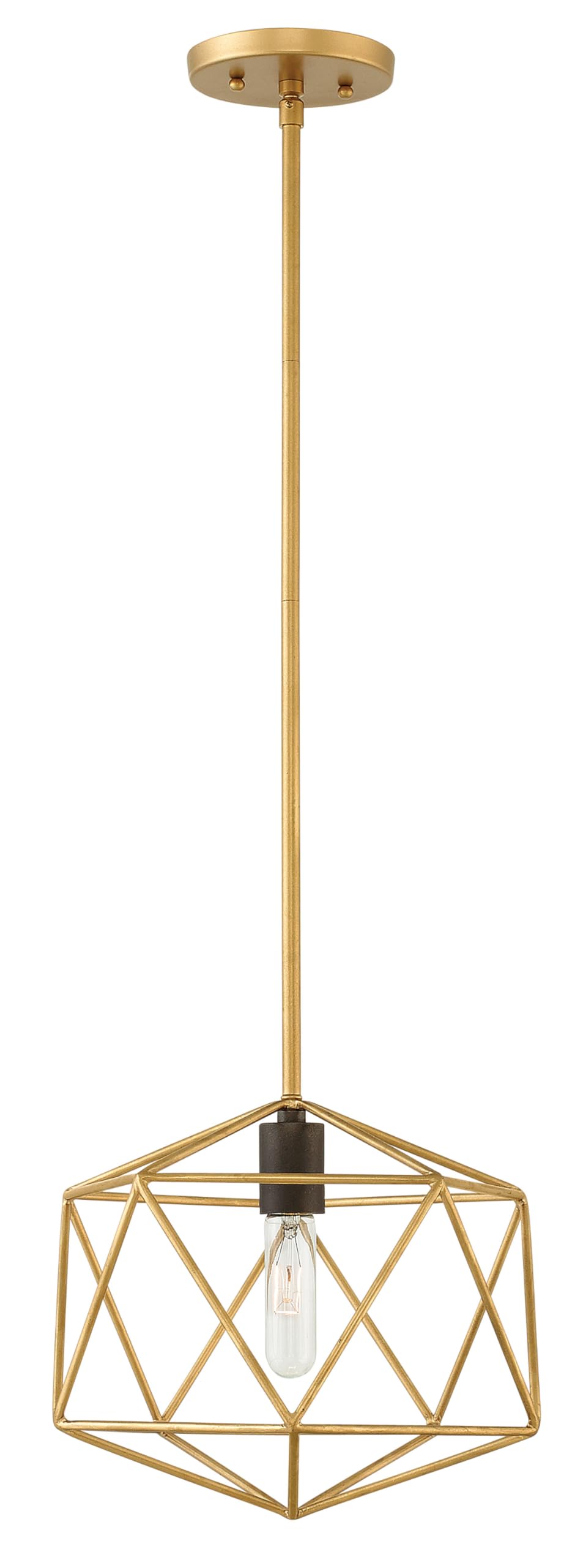 Hinkley Astrid Collection Transitional One Light Pendant - Deluxe Gold Finish, Modern Ceiling Light Fixture for Dining Room, Kitchen Island & Bedroom Decor