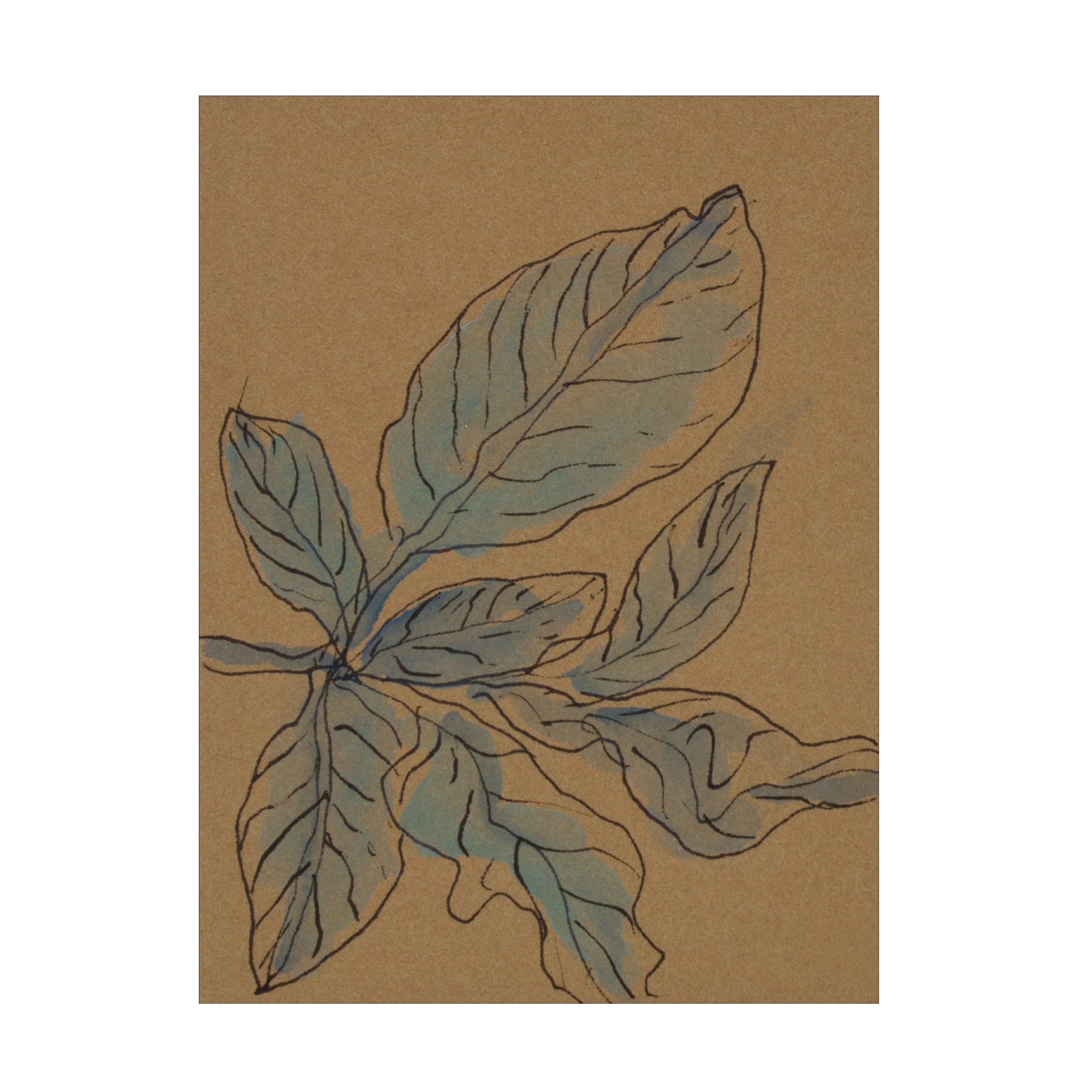 Trademark Fine Art 'Little Plants of Big Sur XIII' Canvas Wall Art Print by Rob Delamater - Nature Inspired Botanical Decor for Living Room, Bedroom & Office
