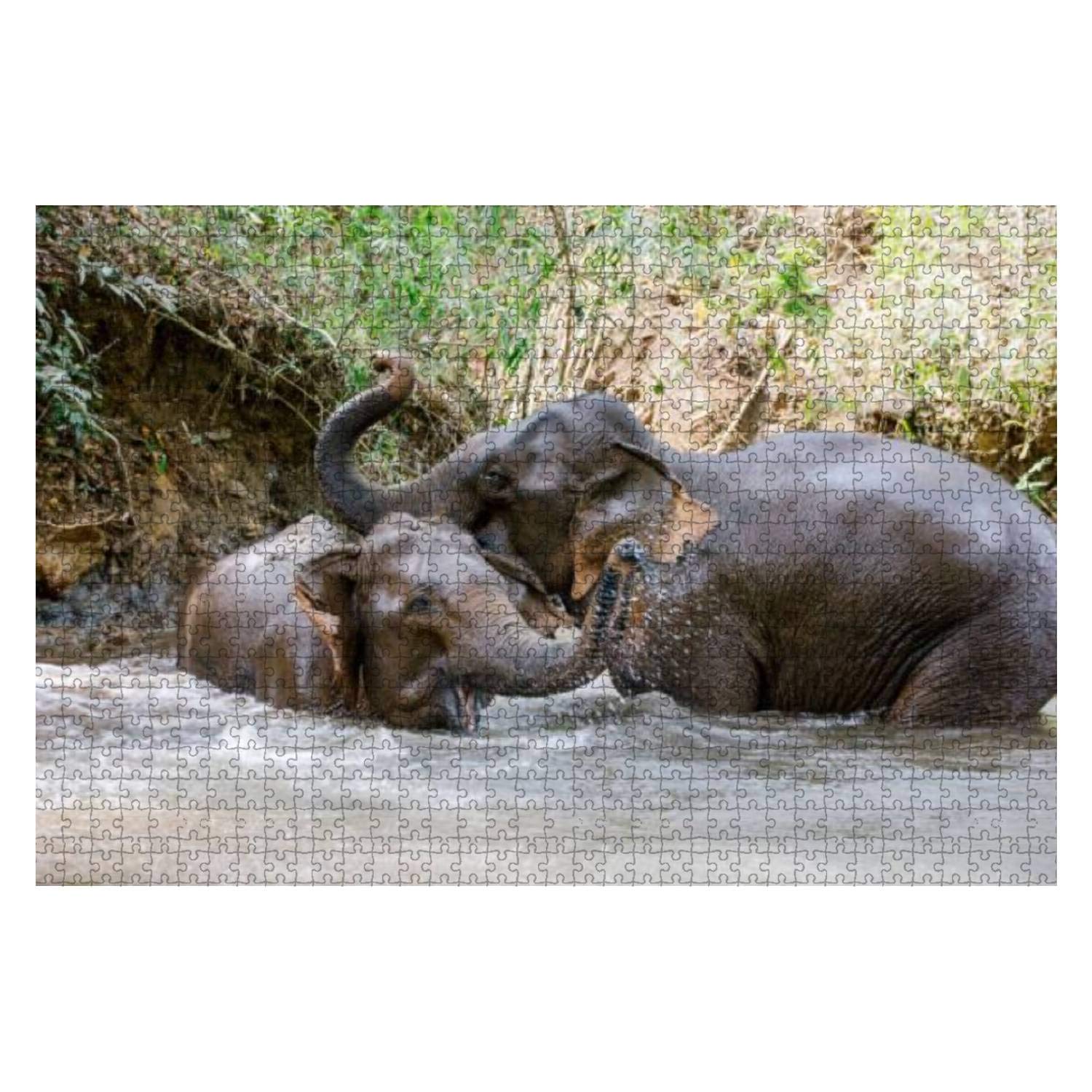 1000-Piece Wooden Jigsaw Puzzle - Two Elephants Playing in Cambodia Jungle River - Educational Puzzle Game for Kids & Adults - Stress Relief & Family Bonding Activity - Perfect for Birthday Gifts & Classroom Learning