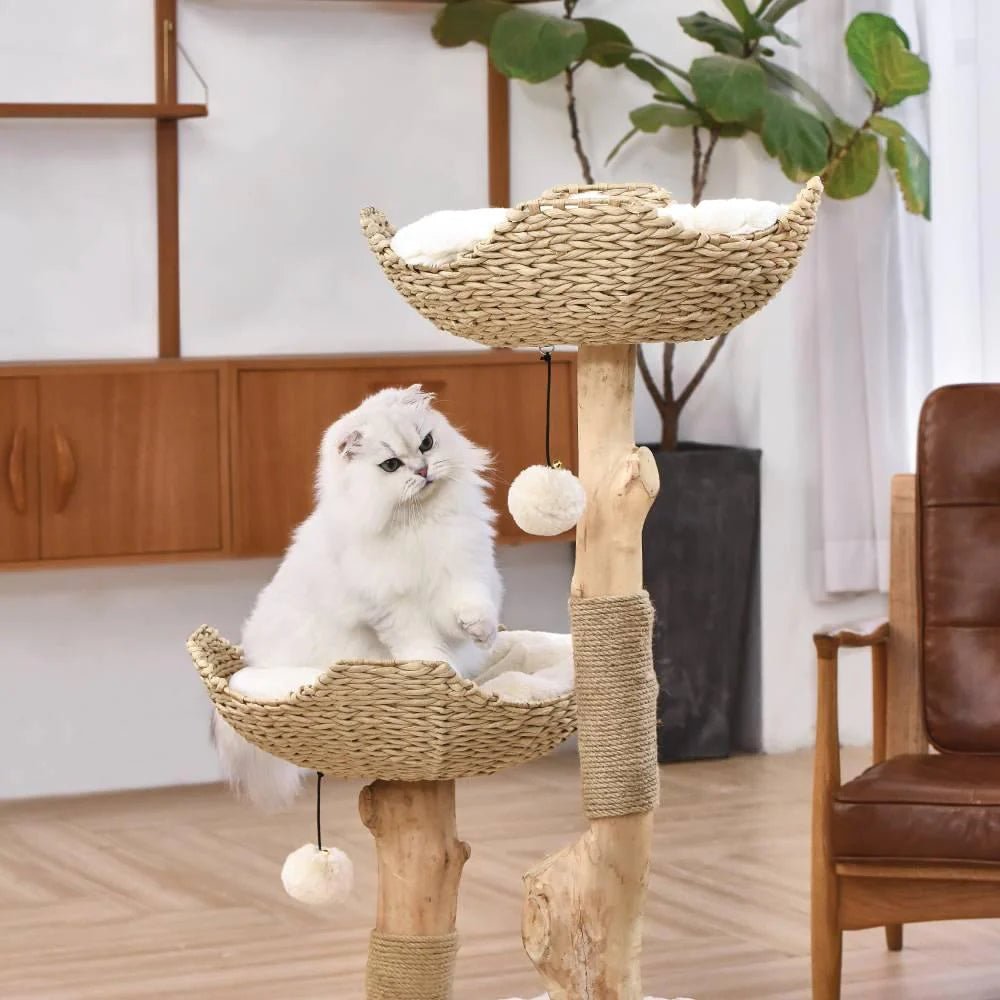 Premium Real Wood Cat Tree for Large Cats - Sturdy & Stylish Climbing Perch for Indoor Play, Scratching & Lounging - Perfect for Living Rooms, Bedrooms & Home Offices