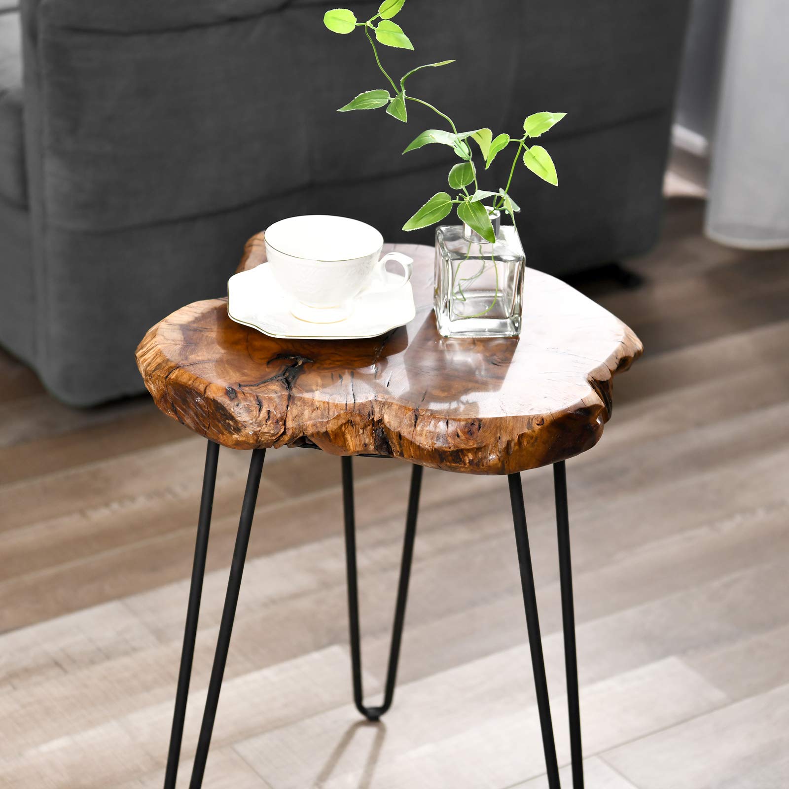 WELLAND Rustic Jujube Wood End Table, Side Table, Coffee Table - Unique Jujube Plus Design for Living Room, Bedroom & Patio Furniture Decor