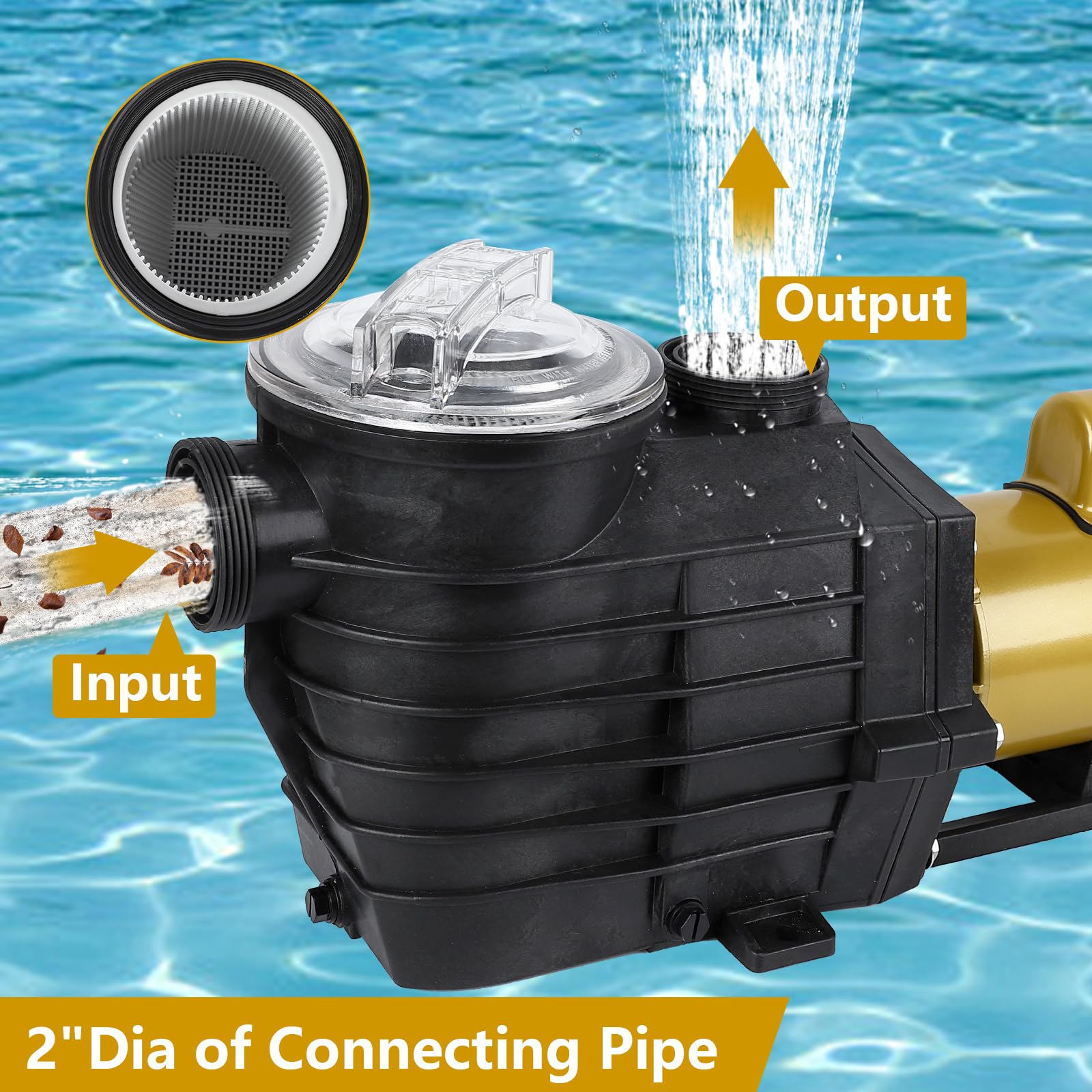 **3HP Dual Speed Swimming Pool Pump - 8896GPH High Flow, 115V/230V, Self-Priming, Energy Efficient & Quiet - for In-Ground & Above-Ground Pools with Filter Basket & Drain Plug - Perfect for Backyard, Residential, and Commercial Pool Maintenance**
