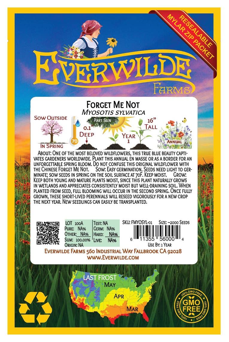 Everwilde Farms - 2000 Forget-Me-Not Wildflower Seeds - Premium Gold Vault Jumbo Seed Packet for Gardens, Bouquets & Landscaping