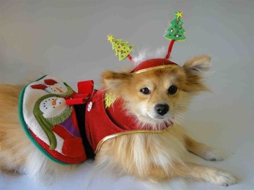 Festive Christmas Tree Hat for Cats & Dogs - Cute Holiday Pet Costume for Xmas Photos & Parties