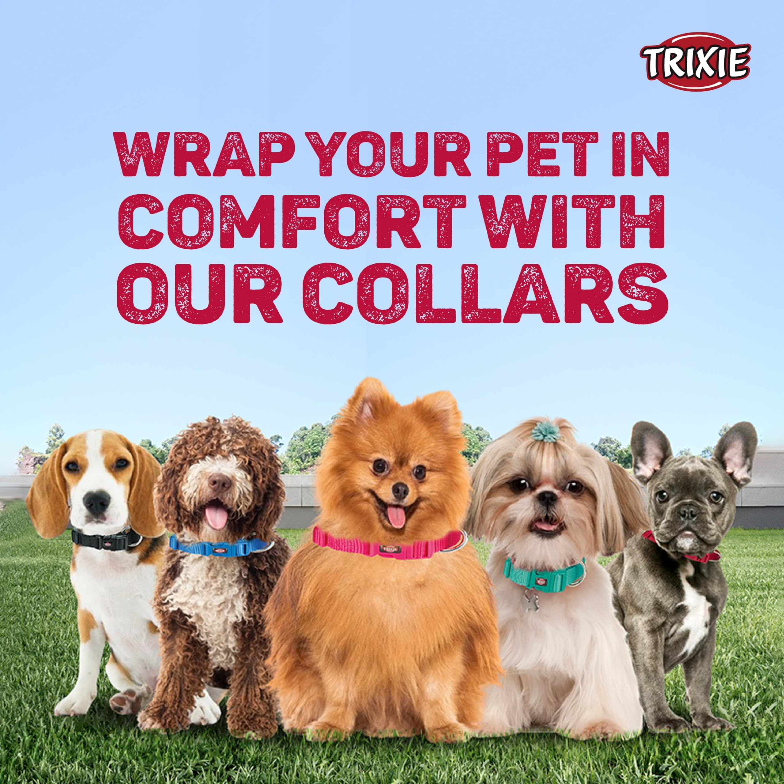Premium TRIXIE Softline Elegance Adjustable Dog Collar - Nylon Material with Padded Buckle for Comfort (Small-Medium, Mint/Teal, 23cm x 4.5cm) - Perfect for Daily Walks, Training & Fashionable Pet Accessories