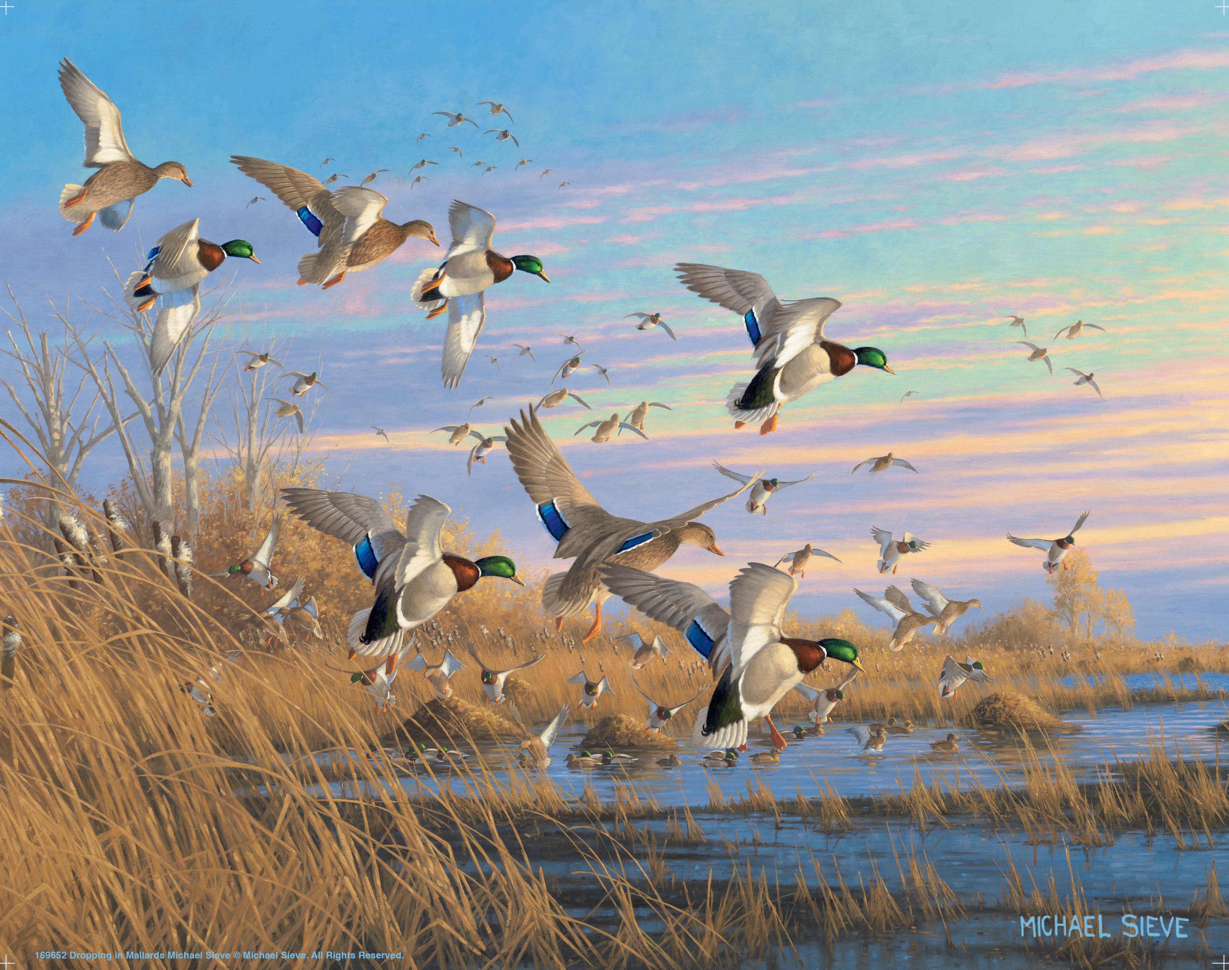 Premium Mallard Duck Art Prints - Handmade Canvas Wall Decor for Home & Office - Perfect for Living Room, Bedroom, or Gift