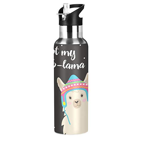 Cartoon Llama