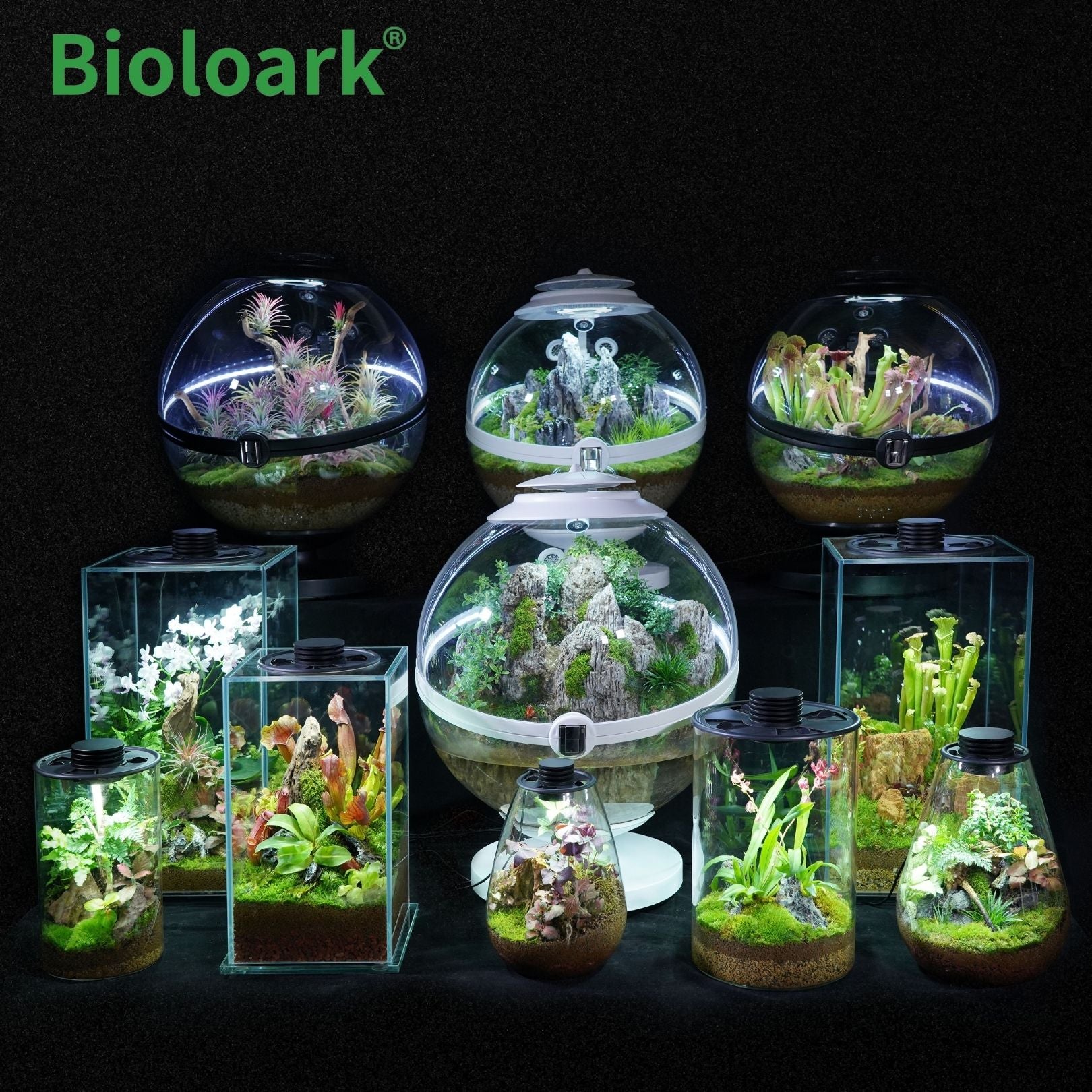 Bioloark Enclosed Terrarium Tank - Glass Habitat for Plants & Reptiles (FD 200 / FD 250) | Perfect for Indoor Gardening, Gecko & Frog Terrariums, Home Decor