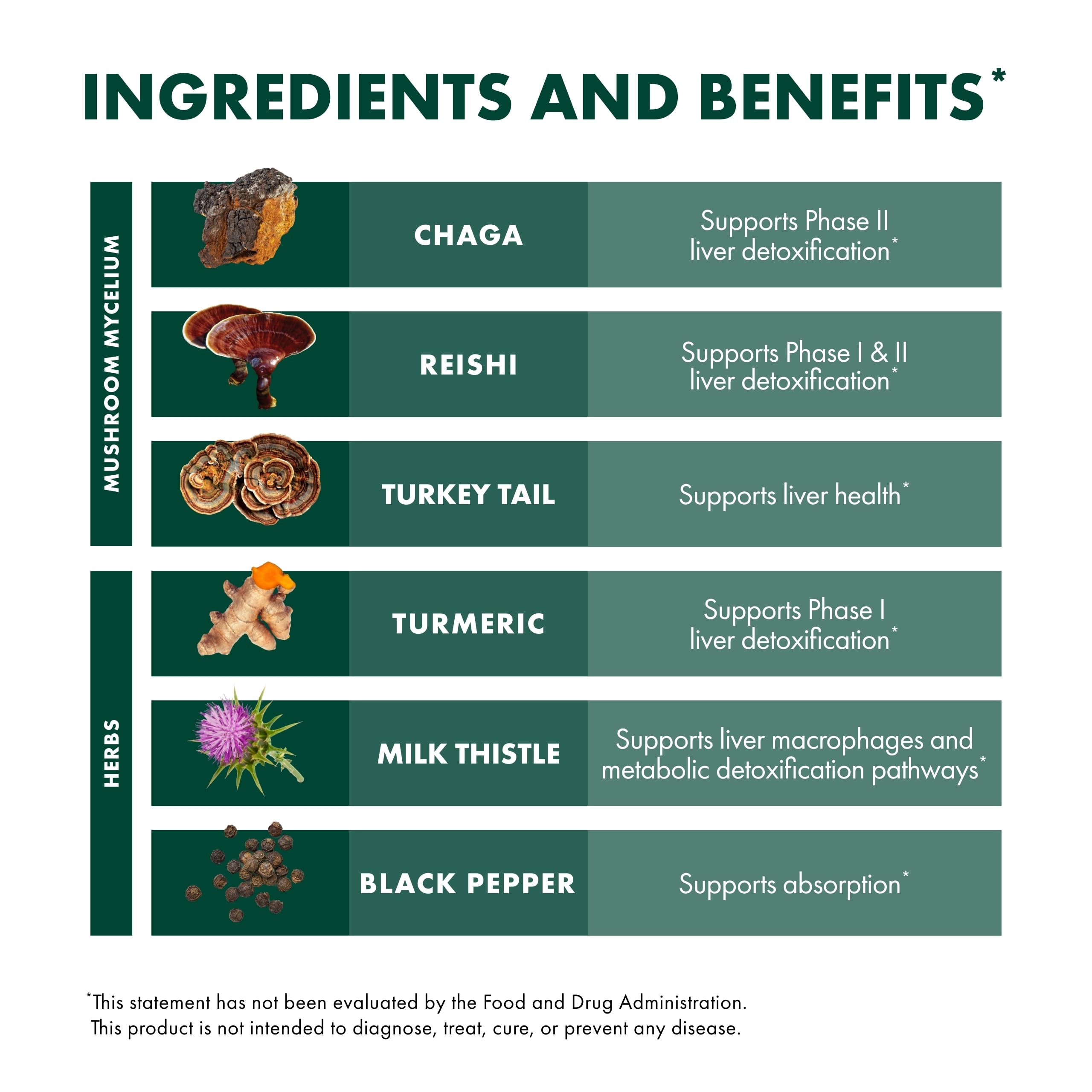 Host Defense MycoBotanicals Liver Support Capsules - Organic Liver Health Supplement with Milk Thistle, Turmeric Root & Medicinal Mushrooms (Turkey Tail, Reishi, Chaga) - 60 Vegan Capsules (30 Servings) - Natural Detox & Immune Booster for Daily Wellness