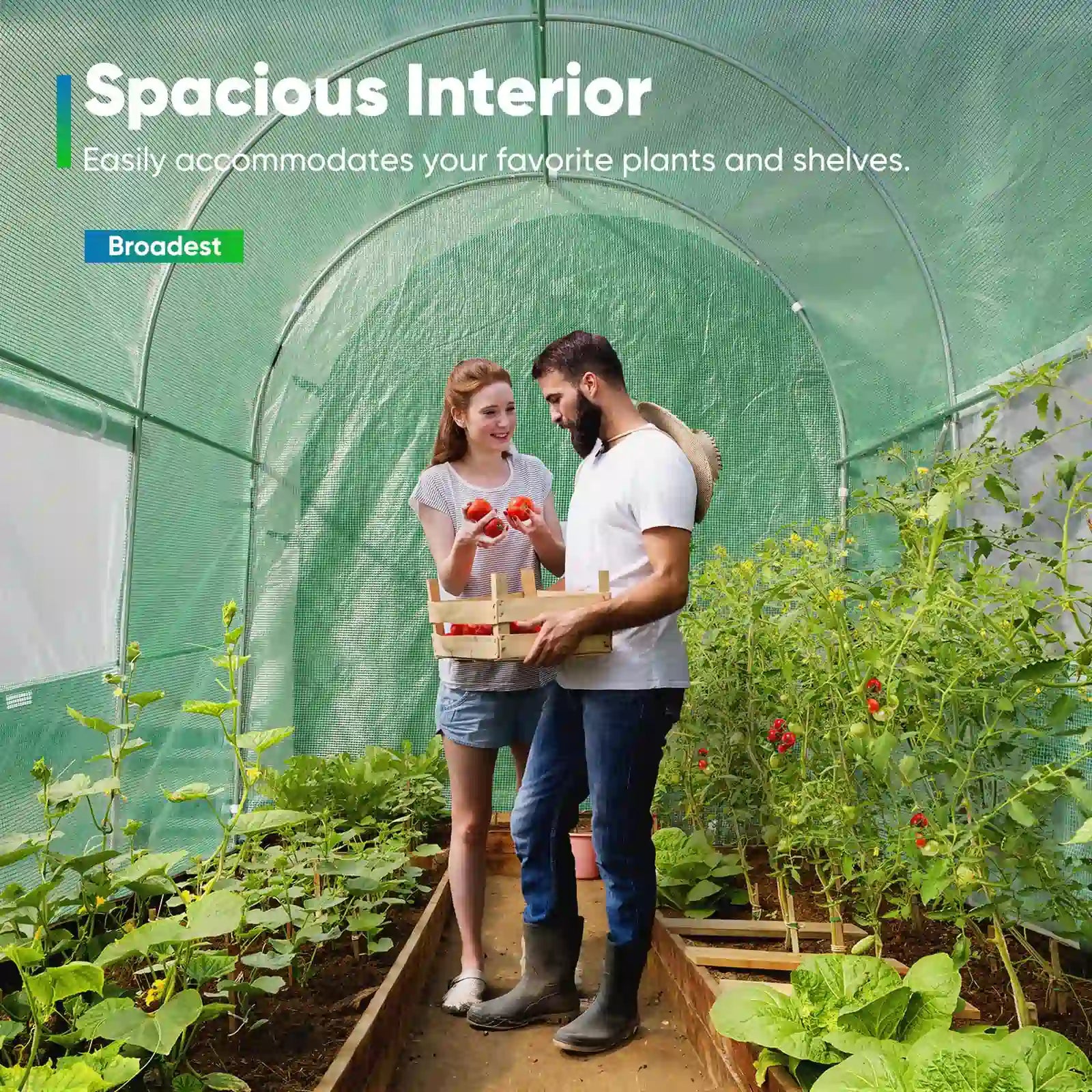 10' x 6.6' x 6.6' Premium Walk-in Greenhouse for Outdoor Gardening - Perfect for Growing Vegetables, Flowers & Herbs in Backyard or Patio