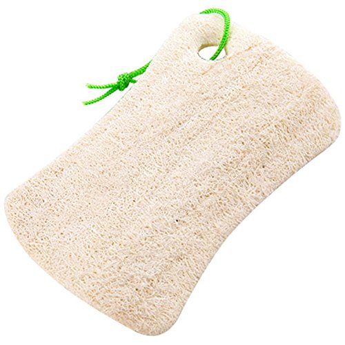 Cleaning Sponges 06