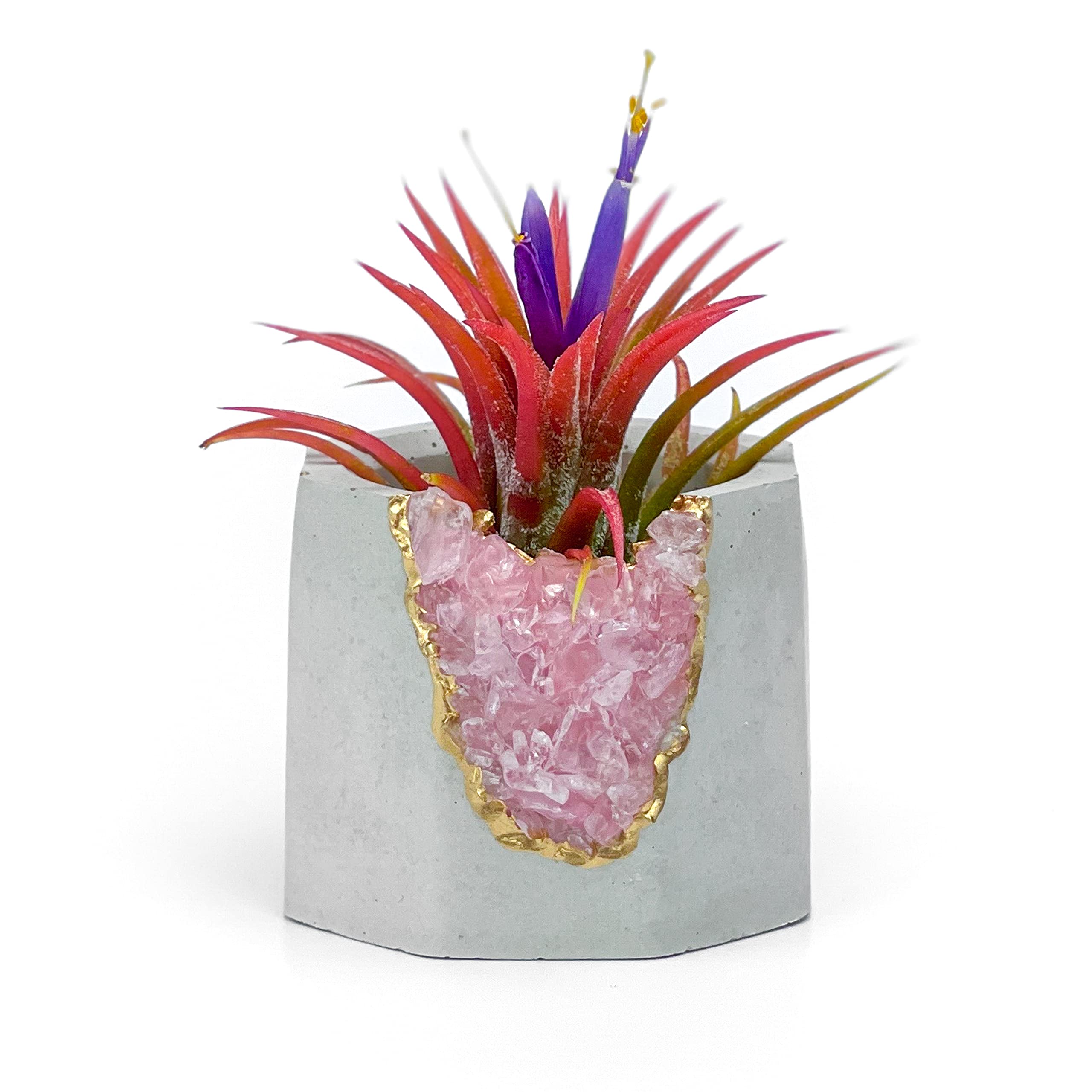 Geode Planter with Raw Rose Quartz Crystal - Mini Succulent & Air Plant Holder - Concrete Candle Pot for Home Decor, Office Desk & Healing Crystal Display