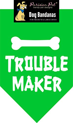Trouble Maker