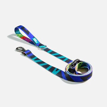Premium Reflective Dog Leash with Comfortable Padded Handle - Strong & Durable for Walking, Running, and Outdoor Adventures