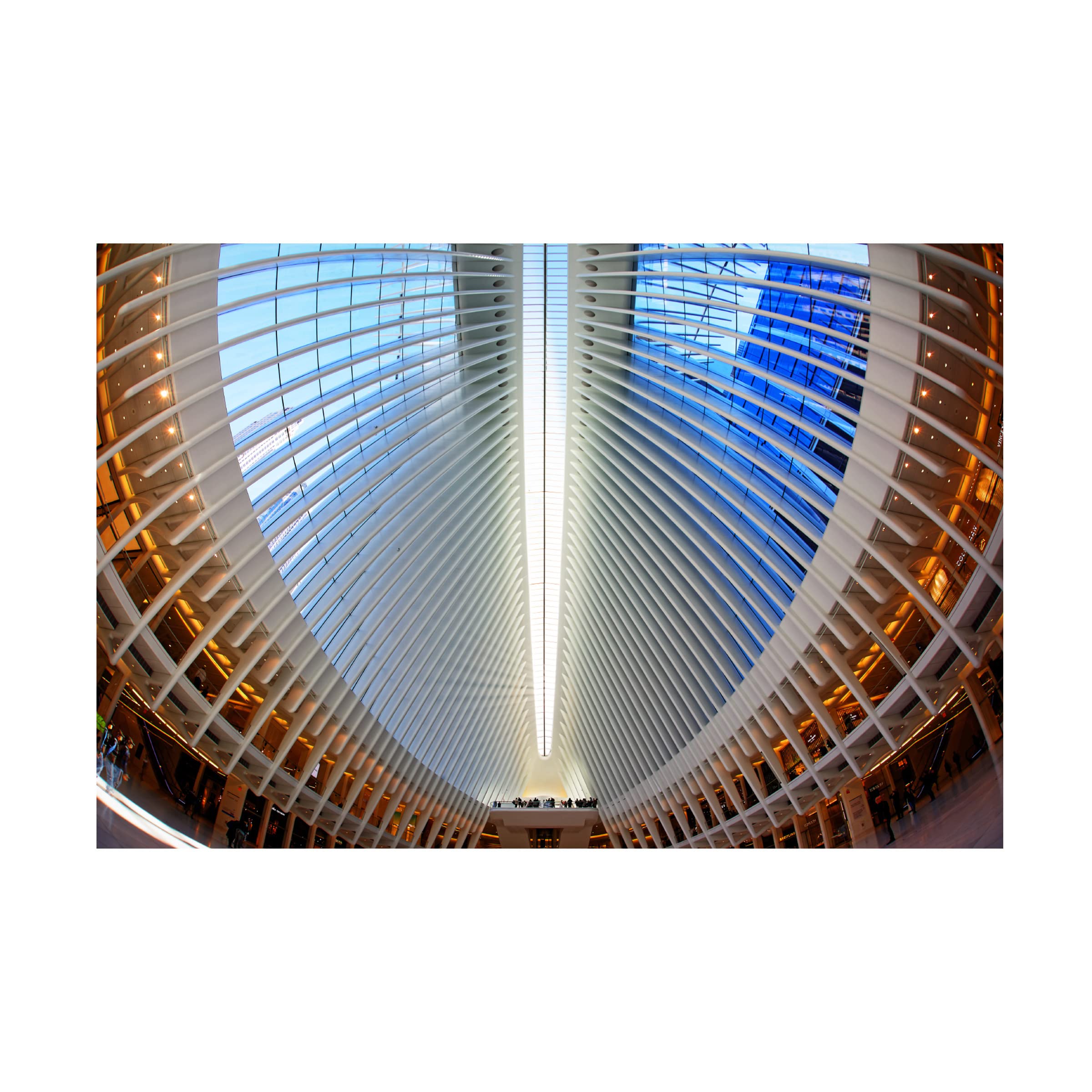 Trademark Fine Art 'Oculus' Canvas Wall Art Print by Martin Fleckenstein - Modern Abstract Painting for Living Room, Office & Bedroom Decor