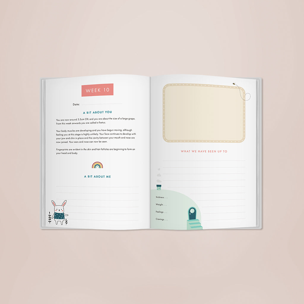 Bump to Birthday Book - Pregnancy to First Birthday Memory Journal for New Parents | Perfect Baby Shower Gift & First Year Keepsake