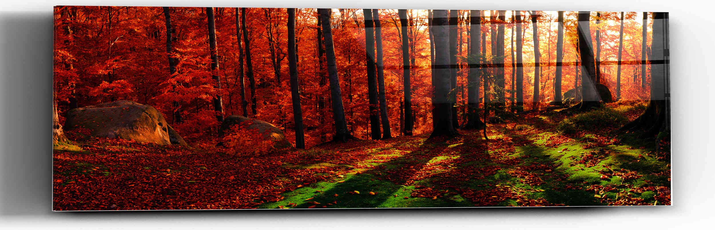 Into The Woods High Gloss Acrylic Wall Art - 60x20 Inches Modern Nature Decor - Perfect for Living Room, Bedroom & Office Décor