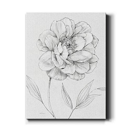Peony Sketch