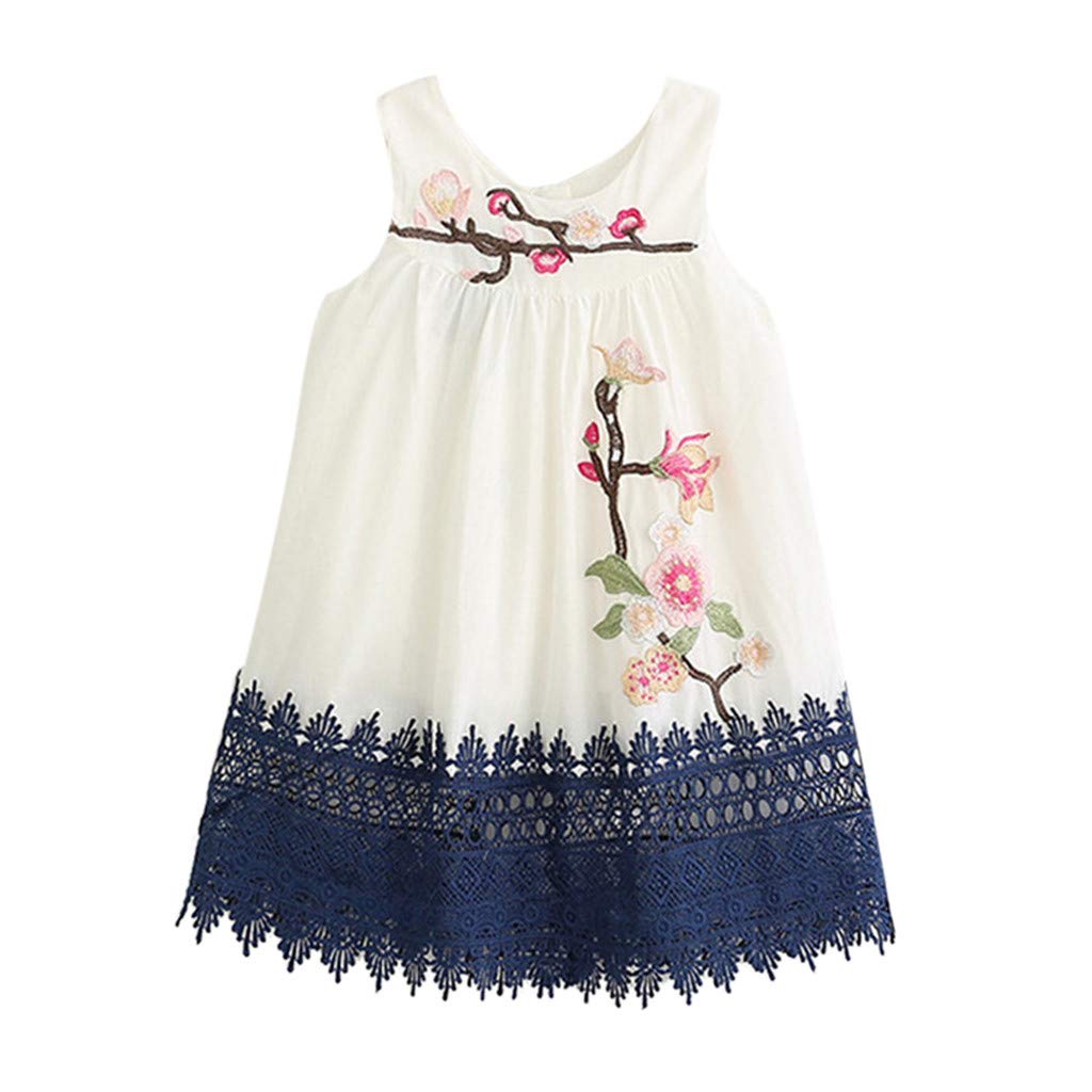 **Flower Embroidery Lace Princess Vest Dress for Toddler Girls – Elegant Party & Pageant Outfit – Perfect for Birthday, Photo Shoots & Special Occasions**