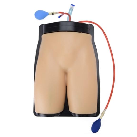 Gen II Femoral Vascular Access & Regional Anesthesia Ultrasound Training Model - Medical Simulation for Ultrasound-Guided Procedures Practice