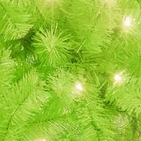 Lime Green