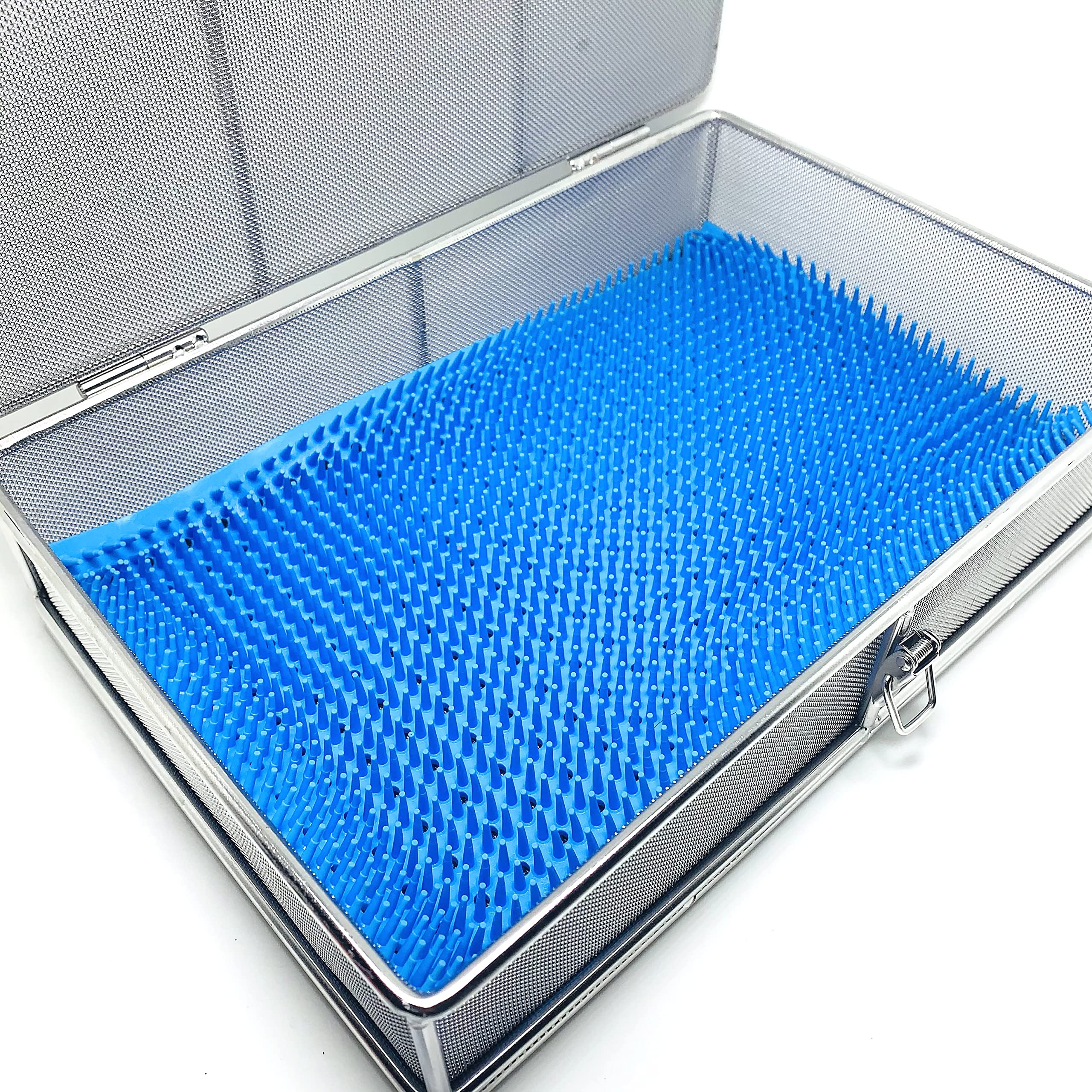 Stainless Steel Sterilization Tray with Locking Lid (30x20x7cm) - Medical Instrument Disinfection Box with Silicone Mat for Orthopedic & ENT Tools | Hospital, Clinic & Dental Use
