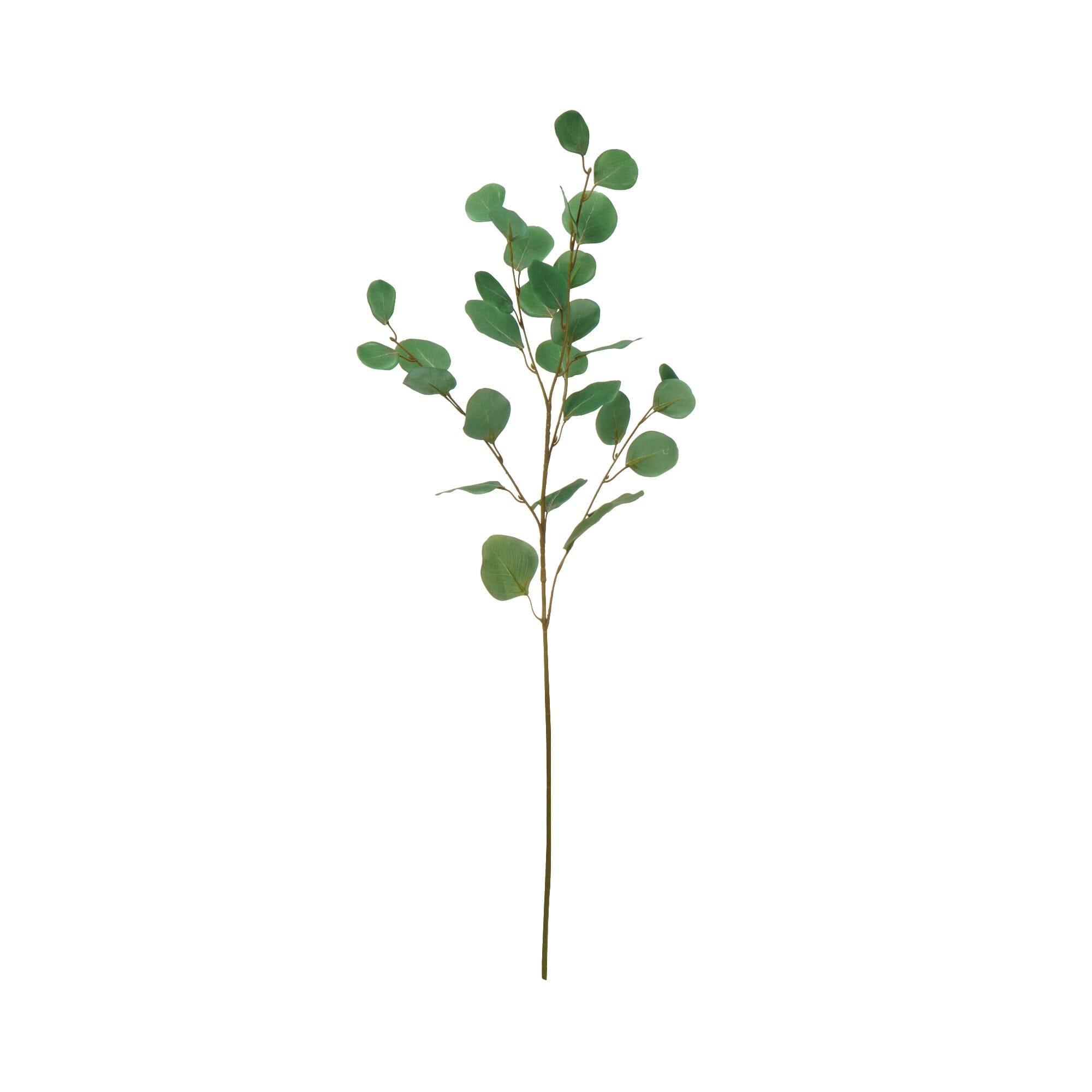 Fresh Art Green Polyanthemum Eucalyptus Leaves - Premium Quality for Home Decor, Wedding Bouquets & Floral Arrangements