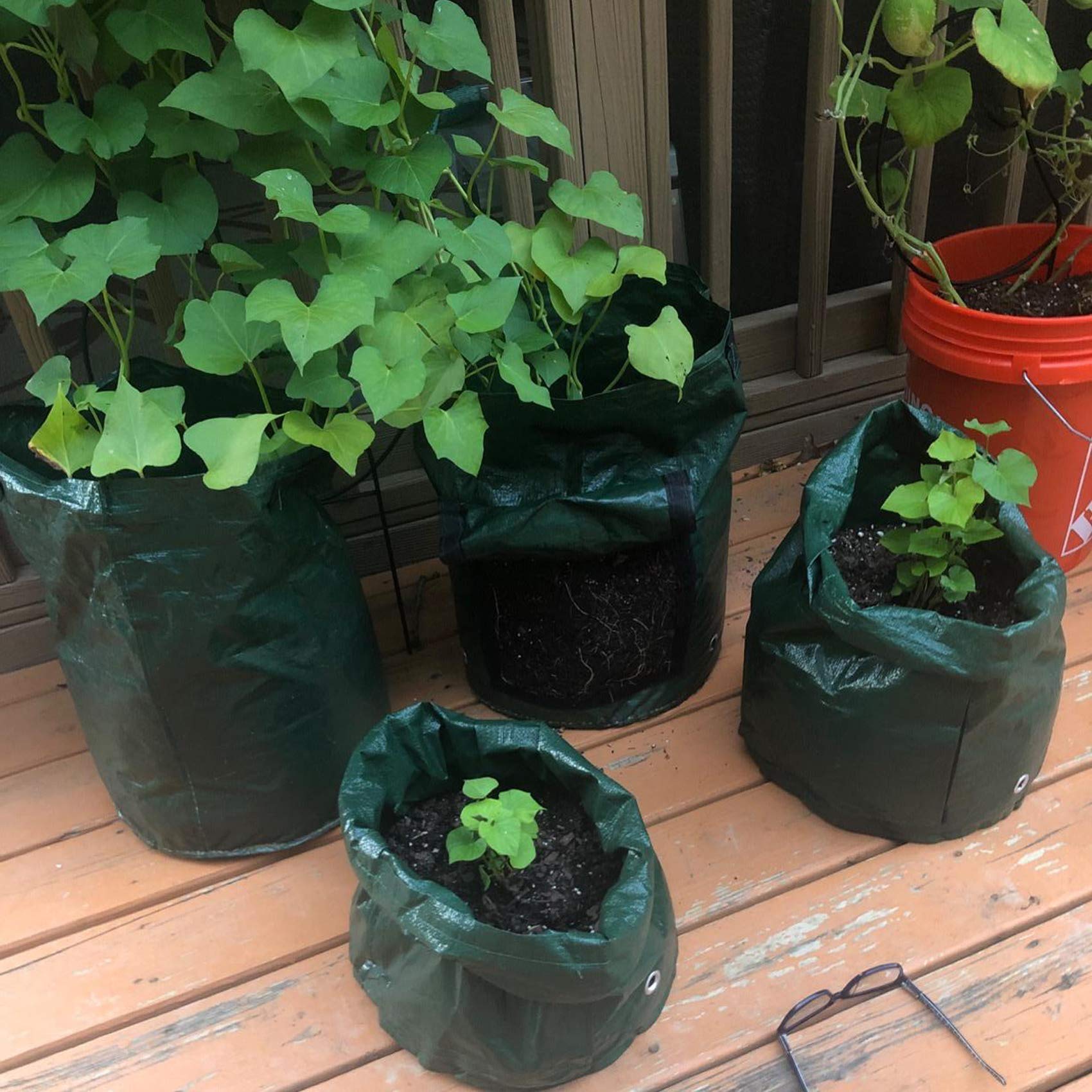 2 Pack 10 Gallon Heavy Duty Aeration Fabric Potato Grow Bags with Flap & Handles - Garden Planters for Potatoes, Onions, Tomatoes, Carrots & Fruits - Perfect for Patio, Balcony & Indoor Gardening (Green)