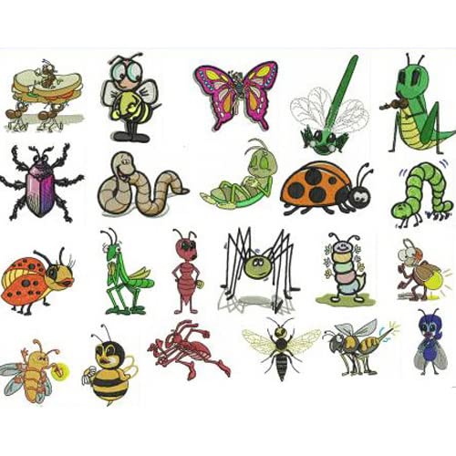 Bugs1