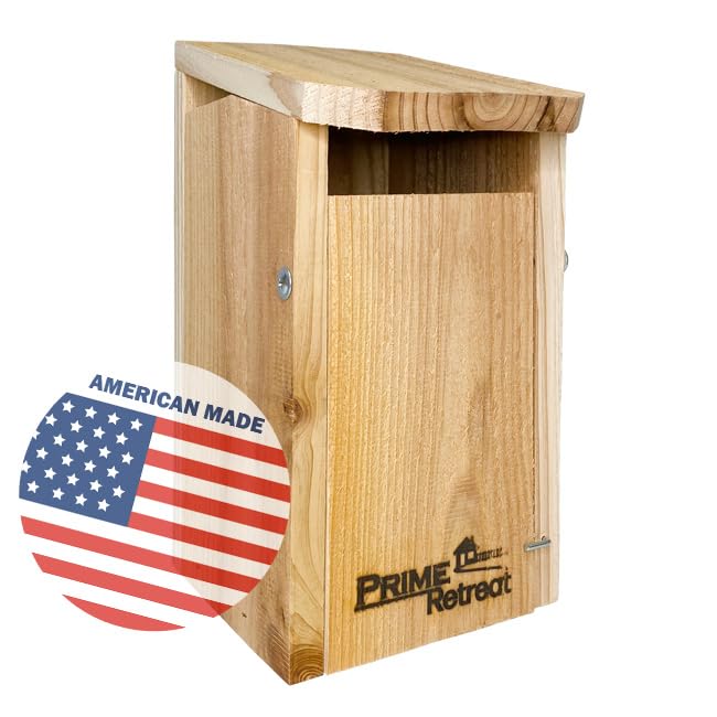 Premium Slant Front Eastern Bluebird House - Weatherproof Cedar Wood Birdhouse for Outdoor Garden, Backyard & Nature Conservation | Attracts Bluebirds & Songbirds | Ideal for Bird Watching & Wildlife Habitat Enhancement