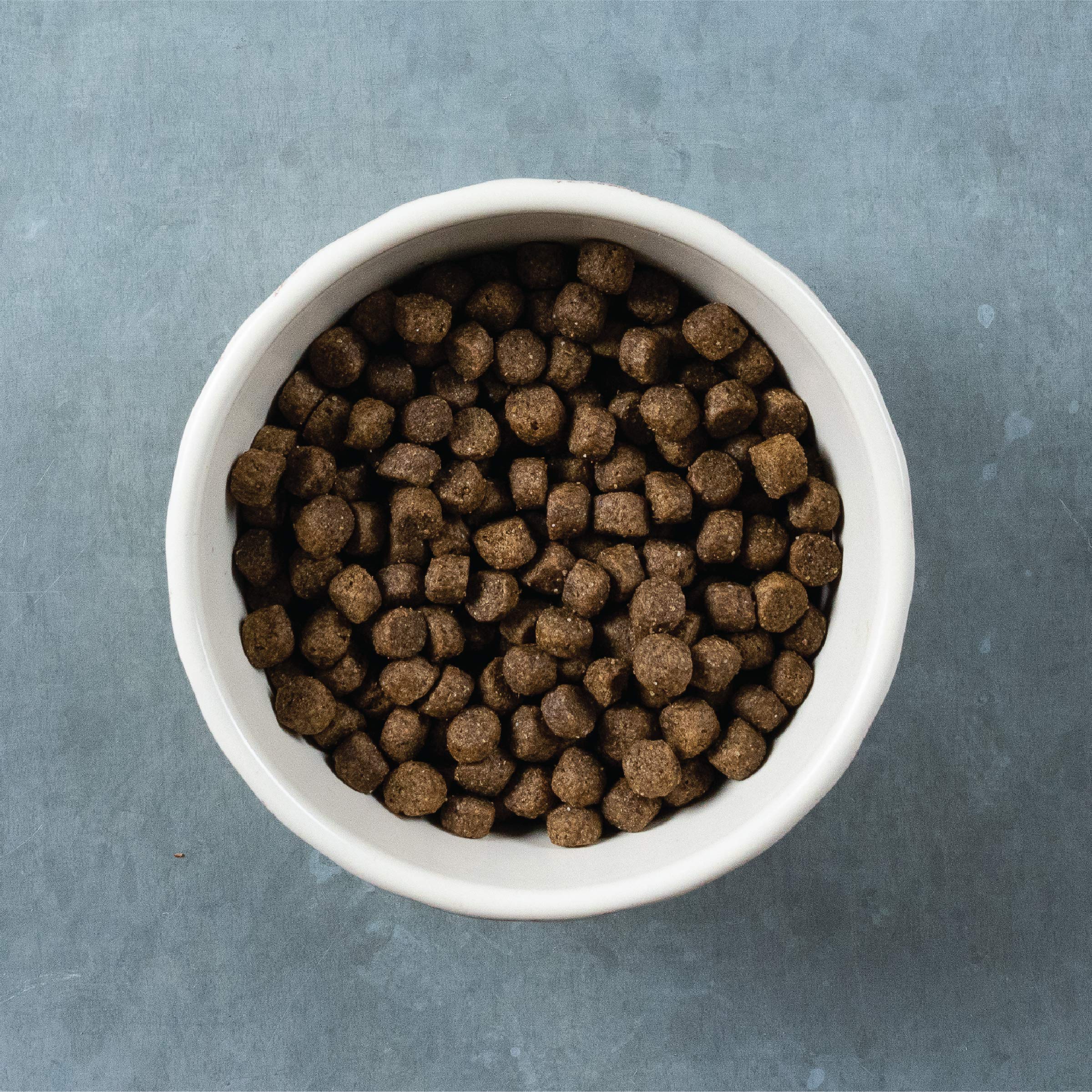 Evolve Pet Food Classics Deboned Beef, Barley & Bison Recipe Dry Dog Food - 3.5 lb Bag | High Protein Grain-Inclusive Kibble for Adult Dogs | Perfect for Active & Large Breed Dogs at Home or Travel