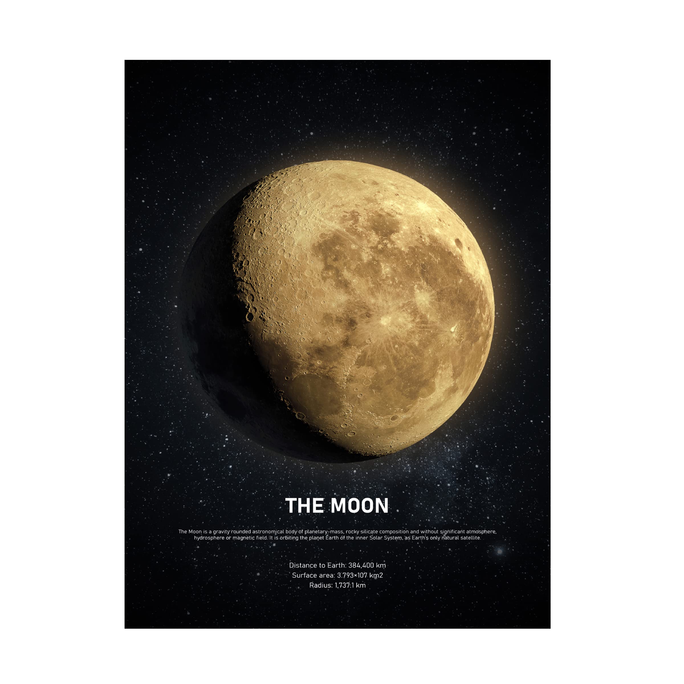 Trademark Fine Art 'The Moon' Canvas Wall Art Print by Design Fabrikken - Perfect for Living Room, Bedroom & Office Decor