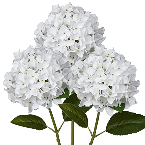 White #3