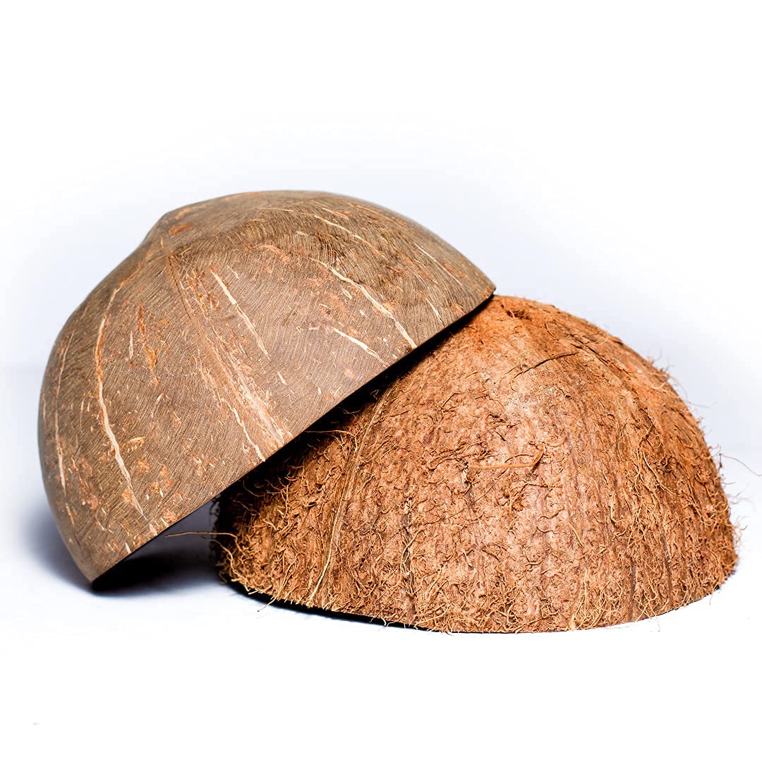 Natural Coconut Bowl Halves - Eco-Friendly Coconut Shell Bowls for Handicrafts, Pet Feeders, Candle Making, Christmas & Halloween Decorations (Set of 1, Fiber-Free) - Perfect for DIY Crafts, Home Decor, and Sustainable Living