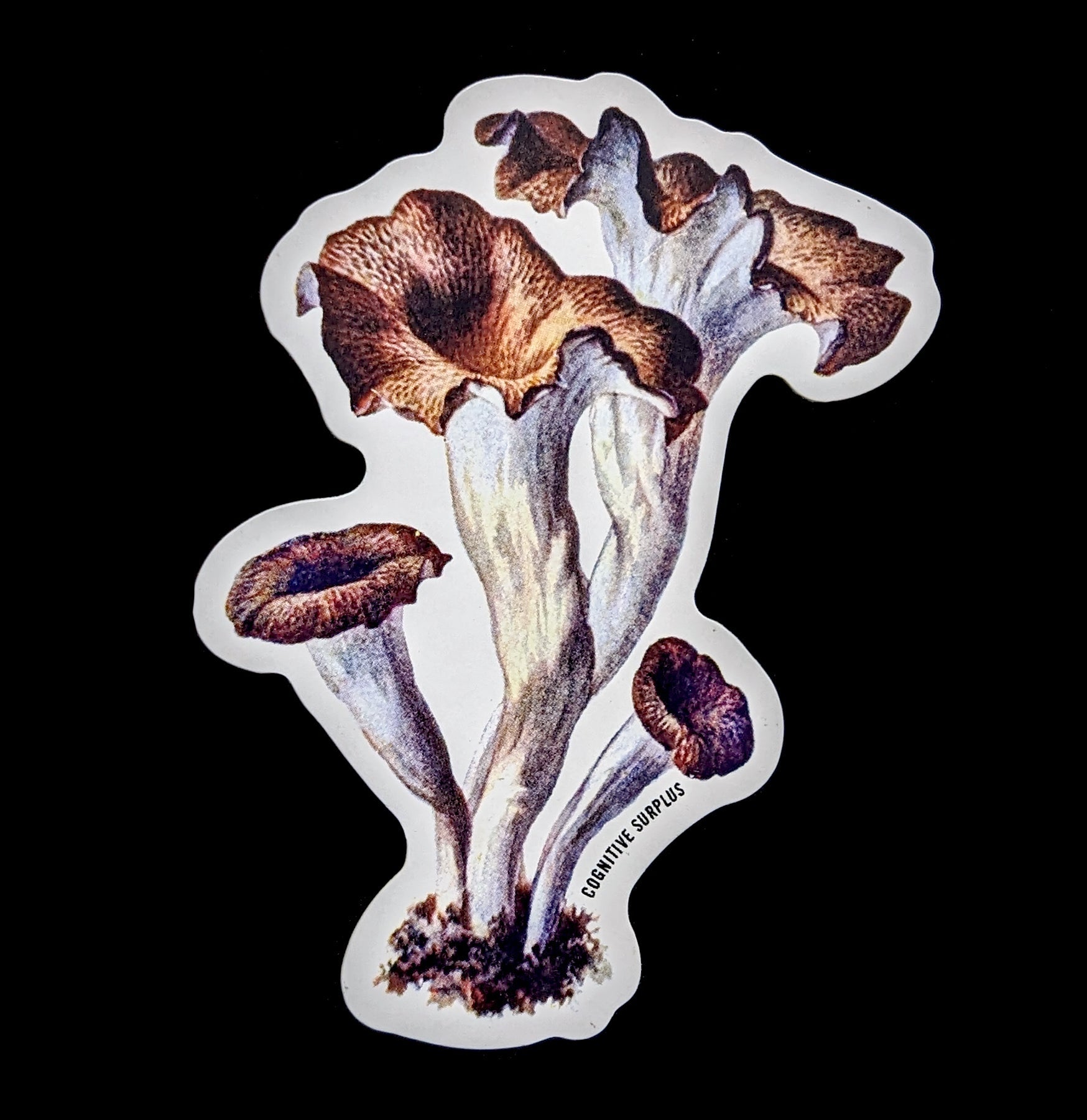 Craterellus Cornucopioides Mushroom Stickers - Black Trumpet Fungi Decals for Laptop, Water Bottle & Notebook - Nature Lover Gifts & Mycologist Supplies